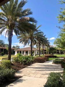 un grupo de palmeras frente a un edificio en DoubleTree by Hilton Hotel Orlando at SeaWorld, en Orlando