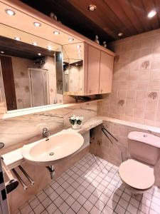 ヴィンターベルクにあるWinterberg Appartement 21077のバスルーム(洗面台、トイレ、鏡付)