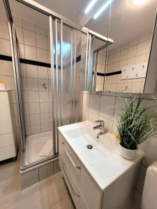 Koupelna v ubytování Winterberg Appartement 21108