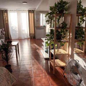 a living room with a bunch of potted plants at Apartamento Bambadela in Cala del Moral