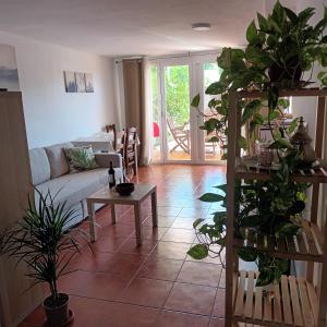 a living room filled with lots of plants at Apartamento Bambadela in Cala del Moral +12 photos
