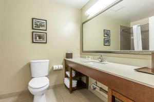 a bathroom with a toilet and a large mirror at Comfort Inn Pomona near Fairplex in Pomona +47 photos