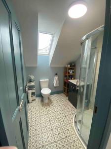 a bathroom with a toilet and a glass shower at Island View Apartment in Miltown Malbay