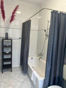 a bathroom with a shower curtain and a tub at Hotel Adam in Berlin
