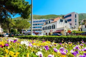 ein Blumenfeld vor einem Gebäude in der Unterkunft Captain's Place in Dubrovnik