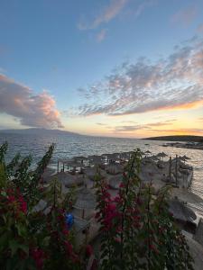una playa con sombrillas y el océano al atardecer en Vita Mediterranea Quartet, en Sarandë