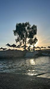 Galeriebild der Unterkunft Vita Mediterranea Quartet in Sarandë