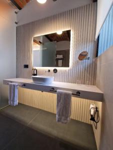 a bathroom with a sink and a mirror at Hotel El Rosal de Cudillero in Cudillero