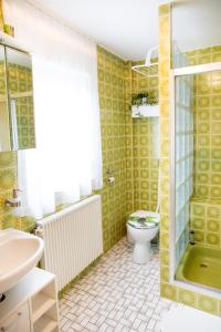 a bathroom with a toilet and a sink at 4 Bett Ferienwohnung Lavendel in Wengenroth