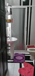 een badkamer met een wastafel en een toilet bij alloggio in Agadir