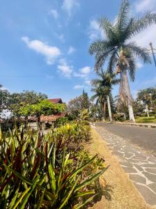 a street with palm trees and a palm tree at Villa Dedaun Batu in Batu