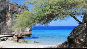 Φυσικό τοπίο κοντά σε αυτή η βίλα