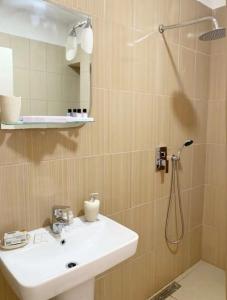 Beautiful and lovely apartment في تيرانا: حمام مع حوض ودش