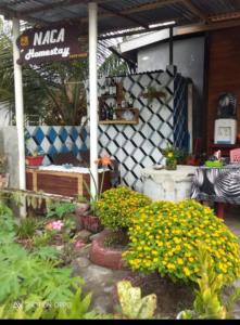 a garden with yellow flowers in front of a store at Naca Homestay in Manado