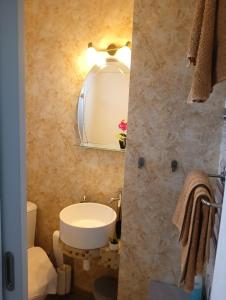 蒂米什瓦拉的住宿－Crystal Room，一间带卫生间、水槽和镜子的浴室