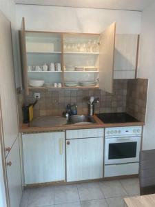 uma pequena cozinha com um lavatório e um fogão em Magnifique Studio à Moléson em Moleson