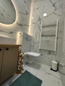 a bathroom with a toilet and a marble wall at Oyster Flat Victoriei in Bucharest +42 photos