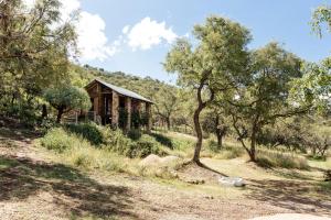 a house in the middle of a field with trees at Stone cottage in Haarties in Kalkheuvel