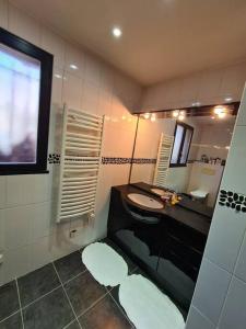 een badkamer met een wastafel en een spiegel bij Maison accessible à tous avec piscine! in La Tronche