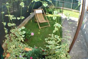 Zahrada ubytování Apartments & Studio Matan