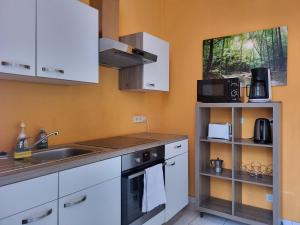 a kitchen with a sink and a stove top oven at Domino Apartment in Baden-Baden