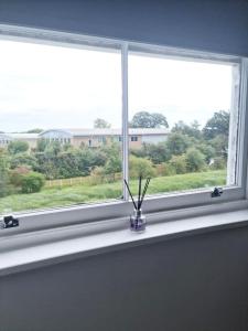 a window sill with a vase with sticks in it at Hyland Apartment by CityNest in Chelmsford