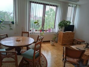 a living room with a table and chairs and windows at Ferienwohnung Veljanovski in Blaufelden