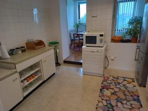 a kitchen with a counter with a microwave on it at Ferienwohnung Veljanovski Haus der Sonne in Blaufelden +26 photos