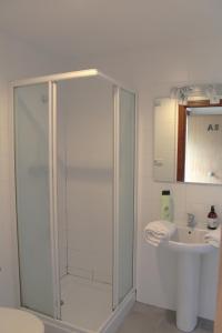 W łazience znajduje się prysznic i umywalka. w obiekcie Ikaztegietako Ostatua w mieście Icazteguieta