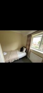 1 dormitorio con cama y ventana en Comfy, cozy house with disabled access, en St Ives