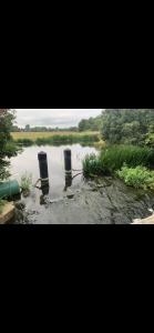 a body of water with three pillars in the water at Comfy, cozy house with disabled access in St. Ives