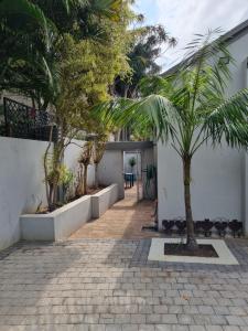 a courtyard with palm trees and a white building at 7 on Cecilia - Private Studio Apartment with Solar Power in Ballito