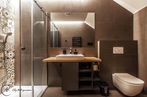 ein Bad mit einem Waschbecken und einer Dusche in der Unterkunft Cozy Little Apartments in Ig