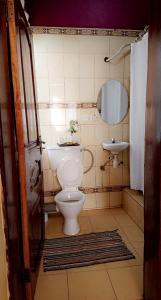 a bathroom with a toilet and a sink at Lajungle Muyenga in Kampala