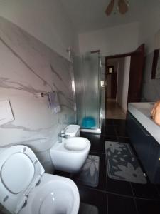 W łazience znajduje się toaleta, umywalka i prysznic. w obiekcie Casa di Nzino w mieście Guglionesi