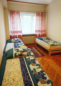 2 camas en una habitación con ventana en Ratuszowy en Włocławek