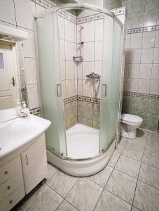 a bathroom with a shower with a sink and a toilet at Ratuszowy in Włocławek +7 photos