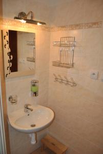 a bathroom with a sink and a mirror at Horské apartmány Jeseníky in Malá Morávka