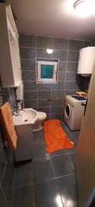 een badkamer met toilet, wastafel en wasmachine bij AWilaBorova# in Zlatibor
