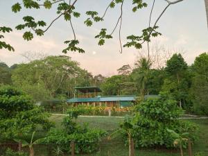 Zahrada ubytování YEJOS Jungle Lodge