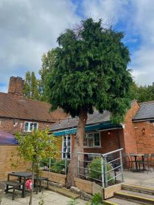 uma grande árvore em frente a um edifício de tijolos em The King's Lodge Hotel em Kings Langley