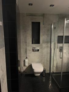 a bathroom with a toilet and a shower at Apartament Wiedeński in Bielsko-Biała
