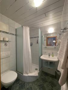 ein Bad mit einem WC, einem Waschbecken und einer Dusche in der Unterkunft Restaurant-Pension Dorfwirt in Bad Kleinkirchheim