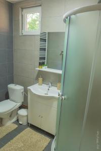 a bathroom with a sink and a toilet and a mirror at Cabana Amis in Poeni