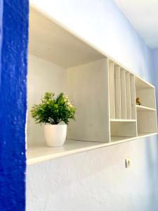 a plant in a white pot sitting on a shelf at Dar Besmellah in Chefchaouene