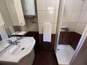 La petite salle de bains est pourvue d'un lavabo et d'une douche. dans l'établissement Vikendica Green Forest, Zenica, à Zenica