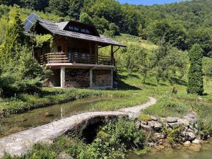 une maison sur une colline à côté d'une rivière dans l'établissement Vikendica Green Forest, Zenica, à Zenica