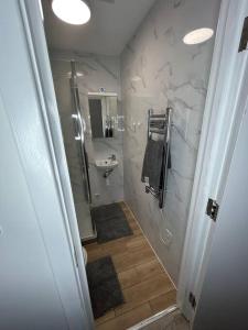 a bathroom with a shower and a sink and a toilet at Large studio flat with garden in Teddington