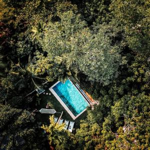 una vista aérea de una piscina y árboles en Ceylon Olive Galle, en Galle