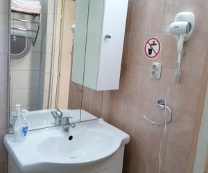 a bathroom with a sink and a mirror and a shower at Oázis Vendégház in Gyula